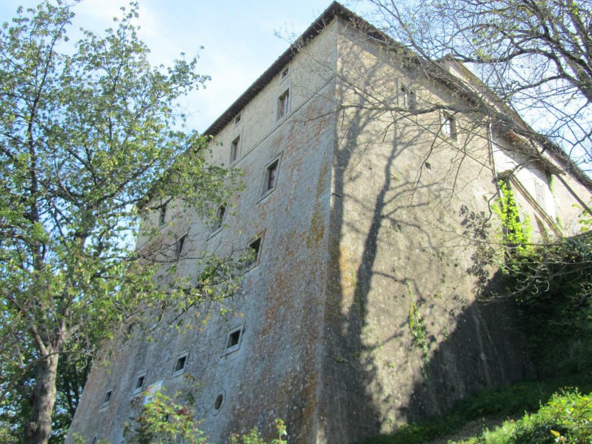 Casa Giuly Apartment Vivo d'Orcia Luaran gambar