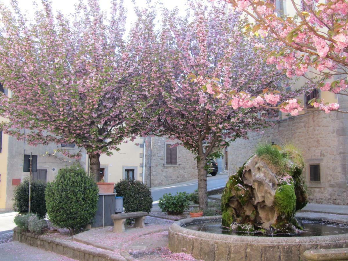 Casa Giuly Apartment Vivo d'Orcia Luaran gambar