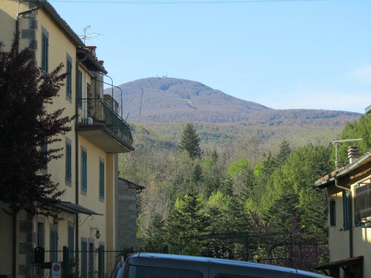 Casa Giuly Apartment Vivo d'Orcia Luaran gambar